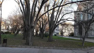 Градинката до катедралата Варна — Варна
