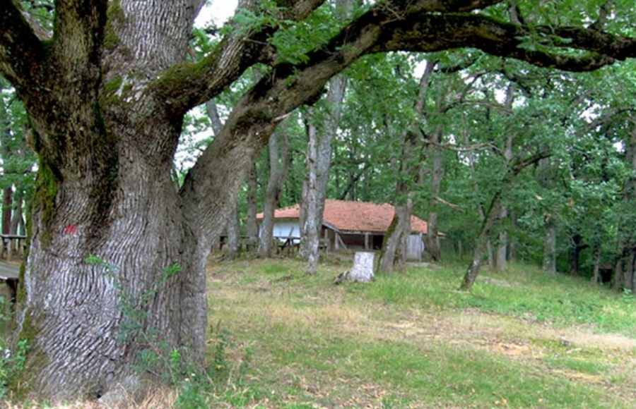 Параклис "Света Богородица" - Българи