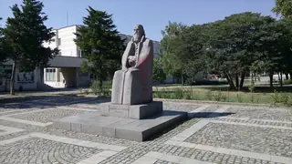 Паметник на Димитър Благоев - Видин — Видин
