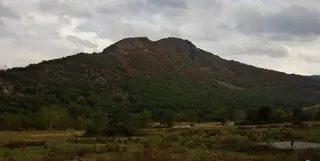 Защитена местност "Патронка" — Маджарово