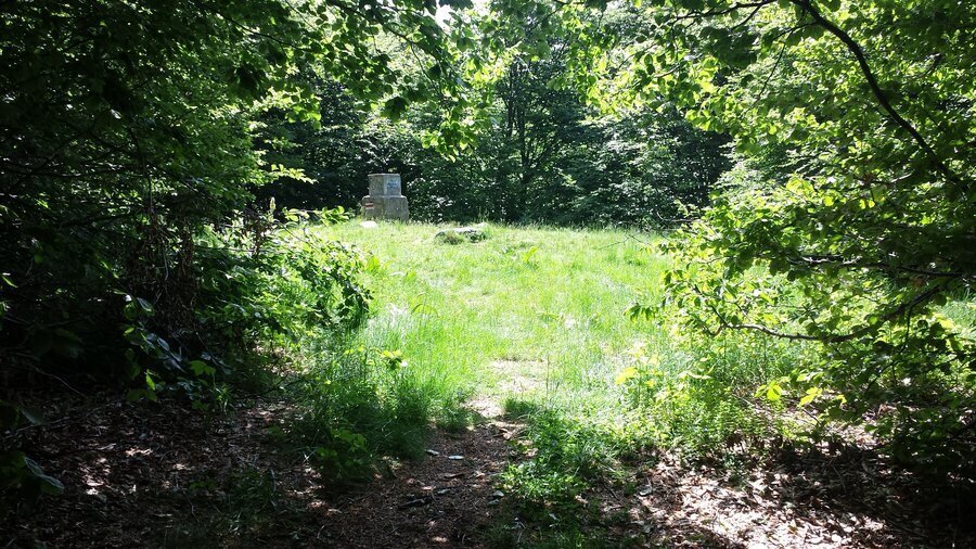 Връх Богдан