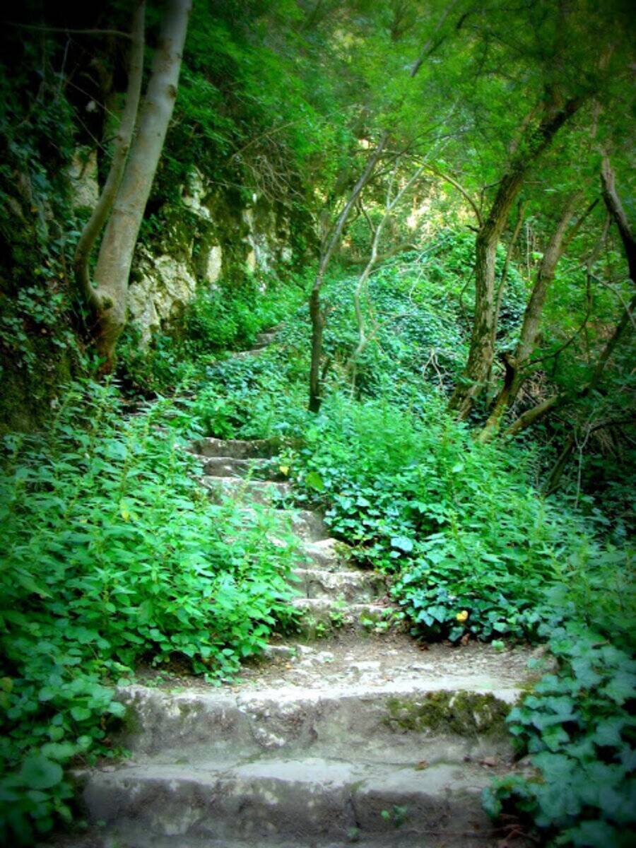 Екопътека Via Ferrata край Дряновският манастир