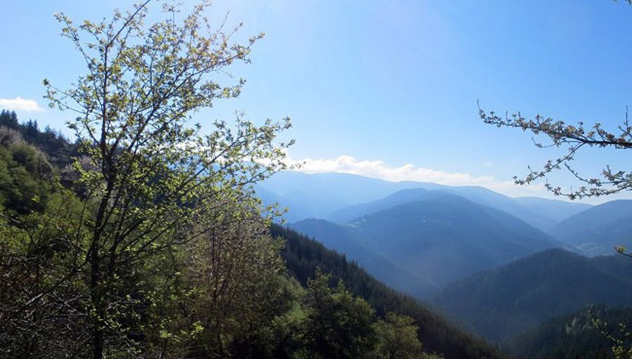 Връх Голям Персенк