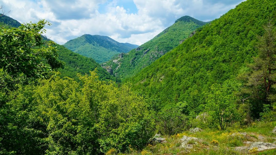 Защитена местност "Поречието на река "Девинска"