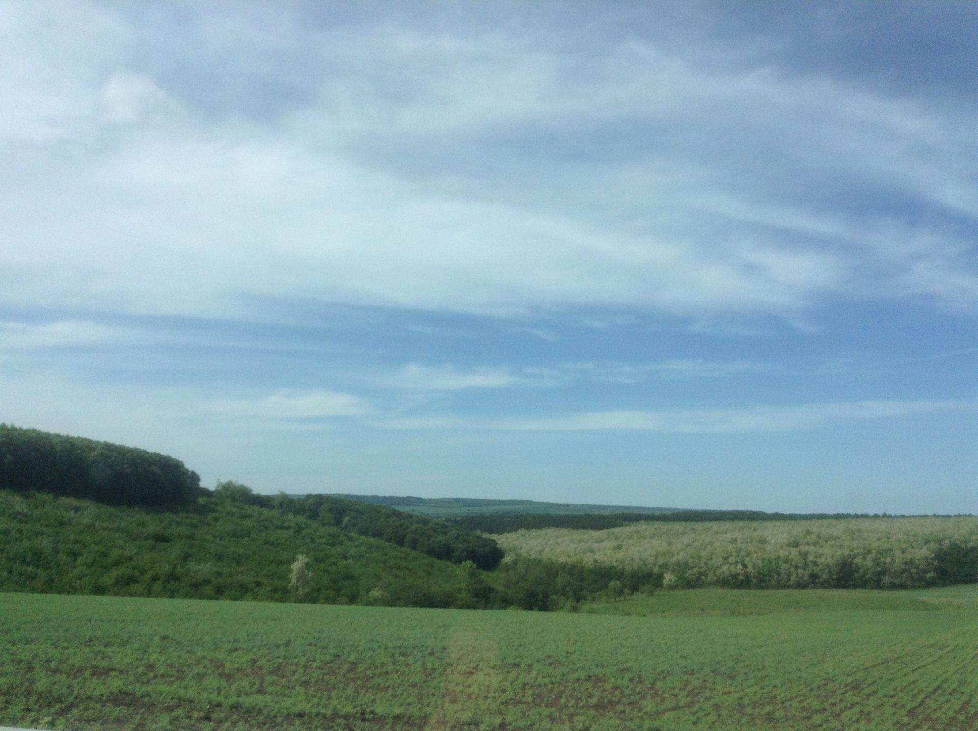 Развигорово