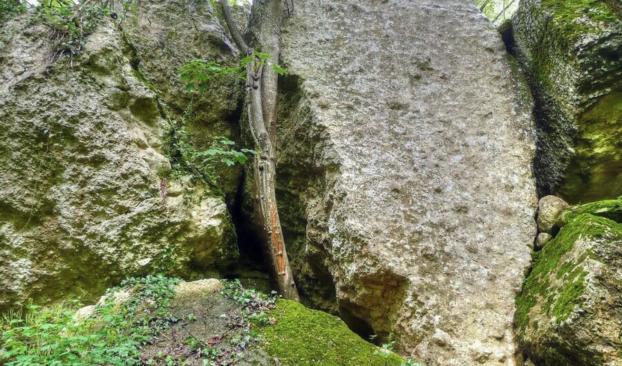 Пещерата на отшелника - Сладка вода