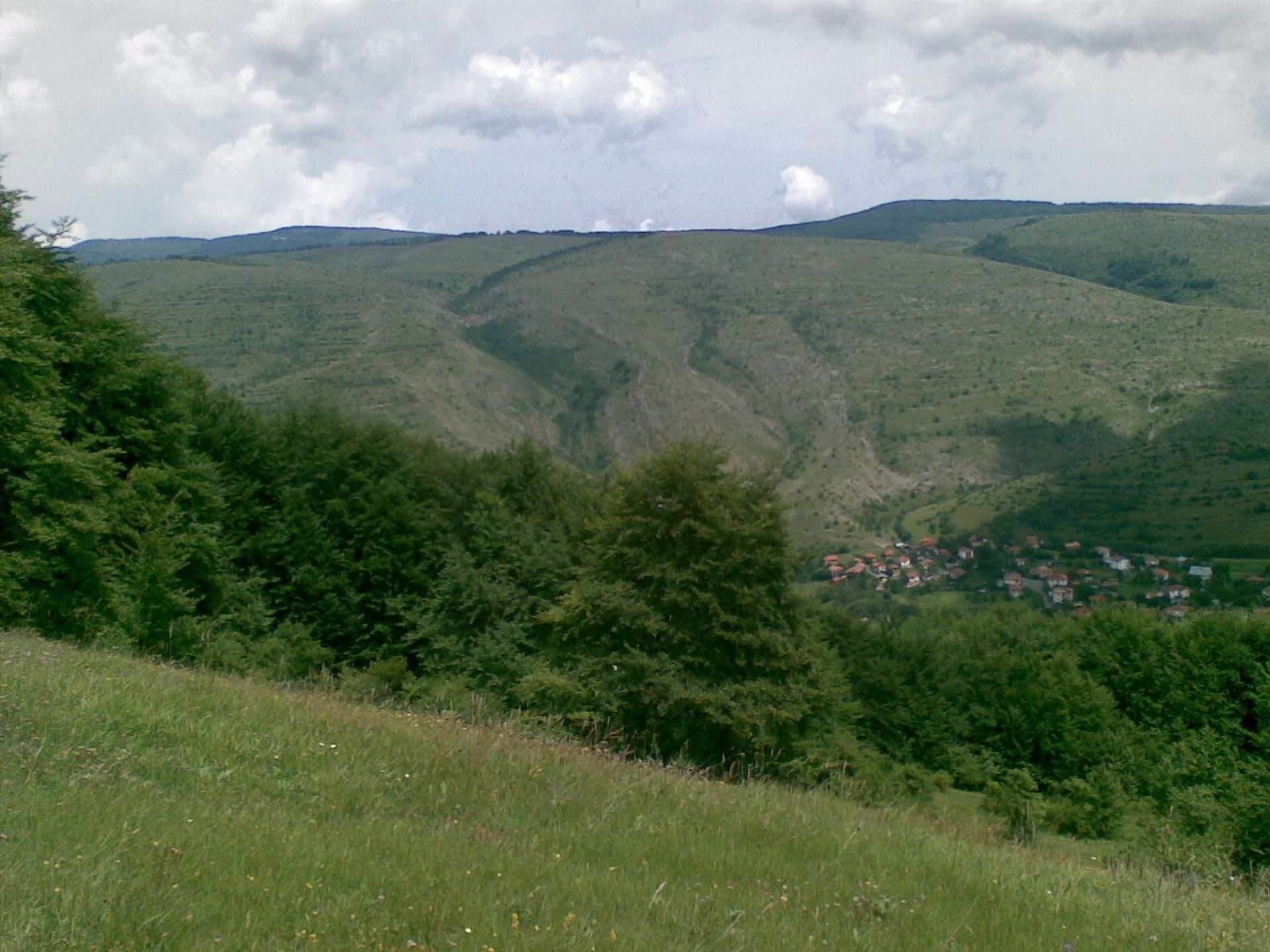 Губеш