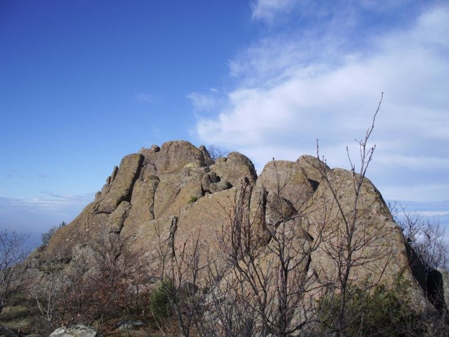 Защитена местност "Перестица"