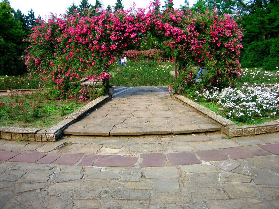 Розариума в Парка на младежта - Русе