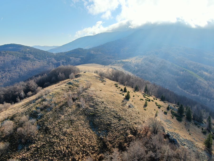 Връх Поповица