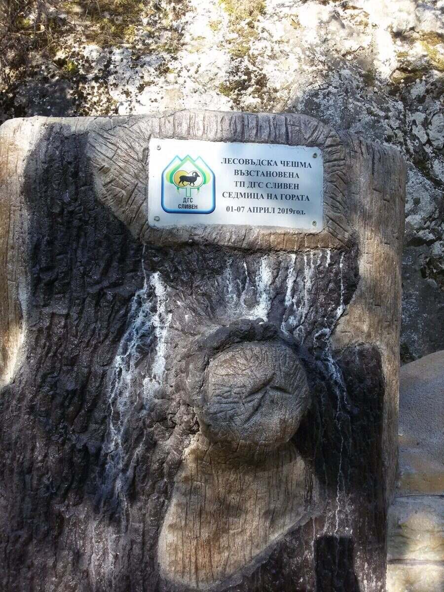 Лесовъдска чешма