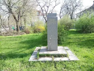 Паметник на Хаим Пизанти - Видин — Видин