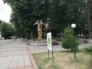 Дървото на живота - Берковица — Берковица