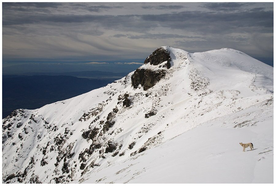 Връх Радомир