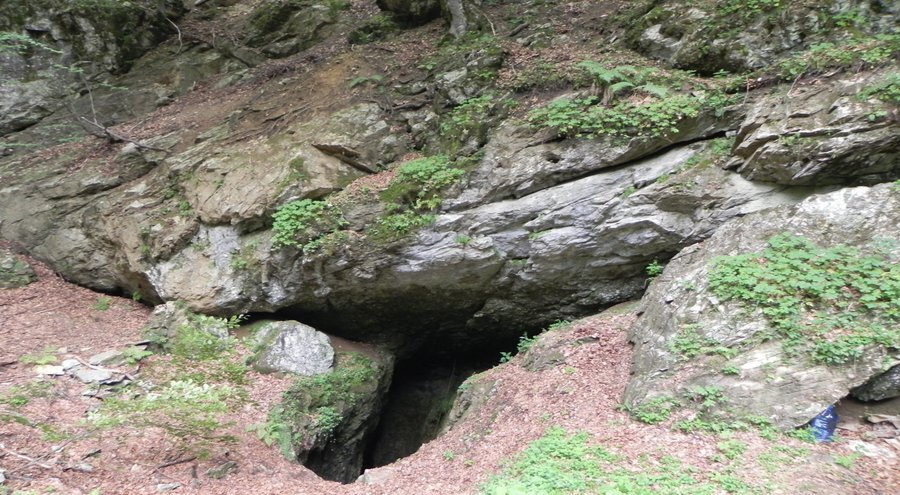 "Бузлуджанската" пещера (Ледена пещера)