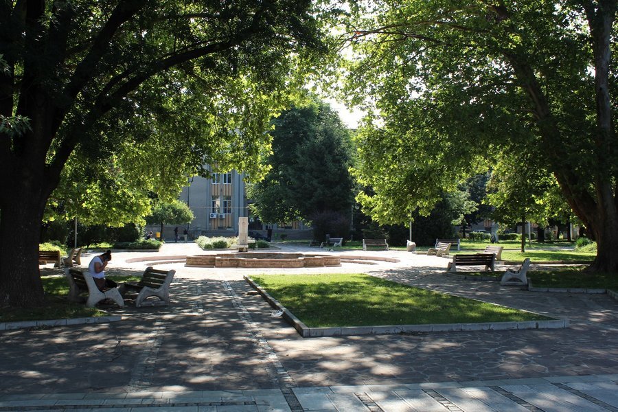 Централна градска градина на площад "Свобода" - Лом