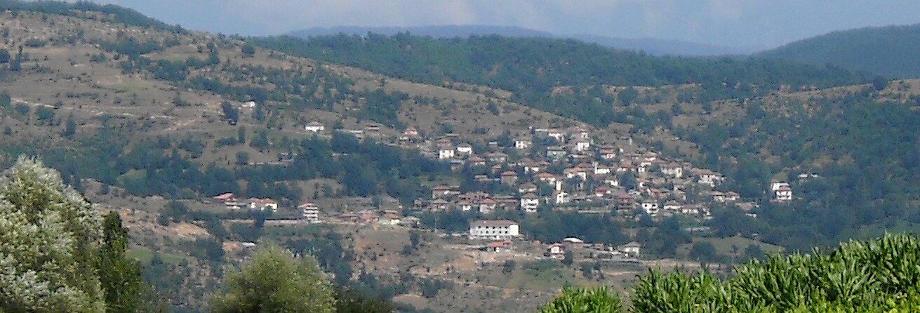 Крибул