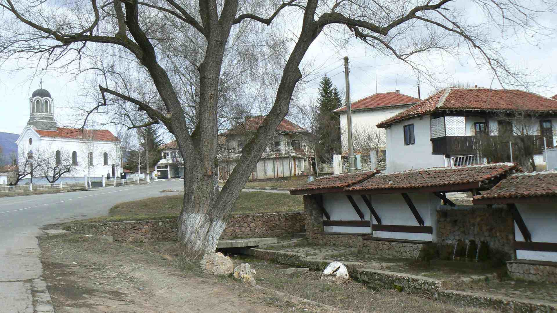 Катрище