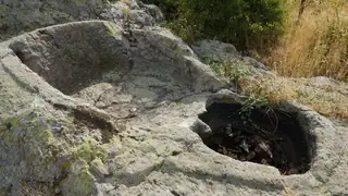 Шарапани - Брястово — Брястово