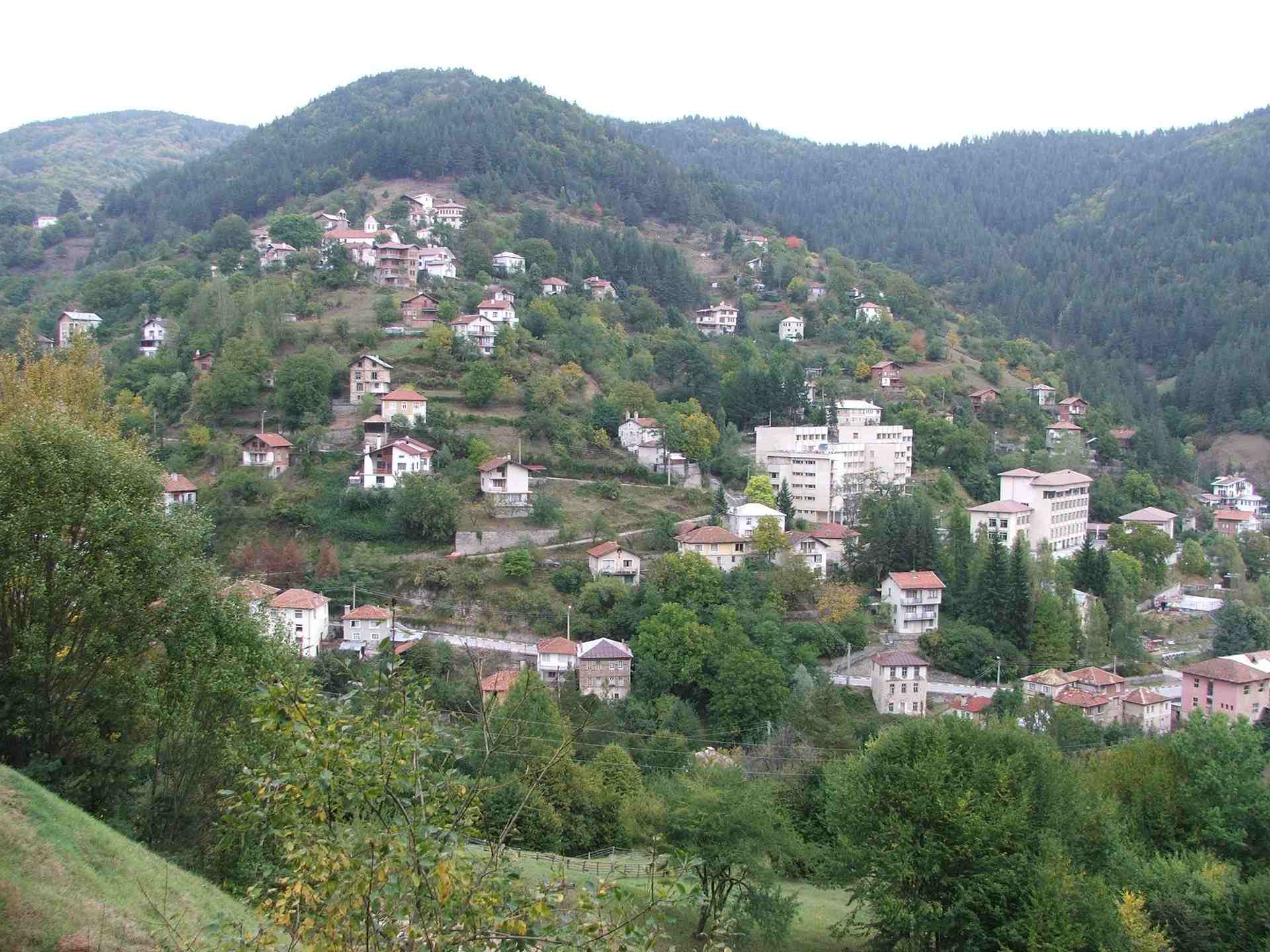 Петково