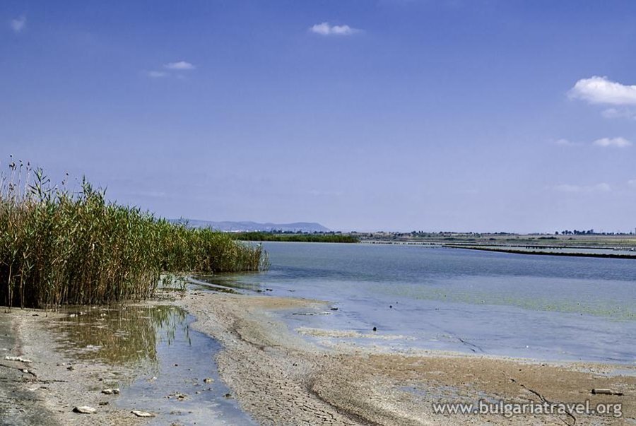 Резерват "Атанасовско езеро"