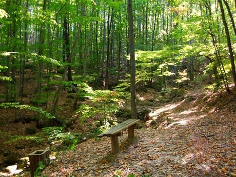 Екопътека "Градище-Кметовци"