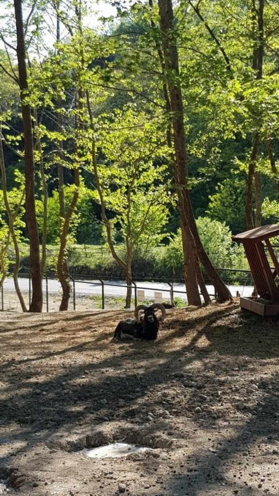 Зоокът - Сандански