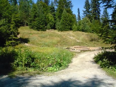 Биосферен резерват "Мантарица"