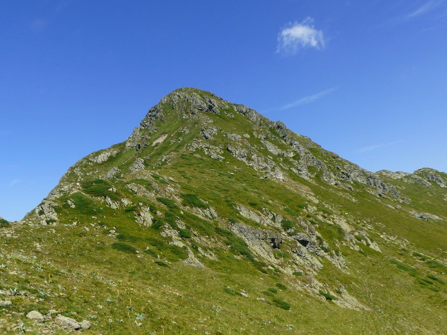 Връх Голям Купен