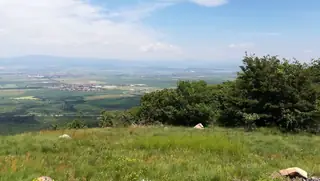 Връх Голема Асарица — Лозен