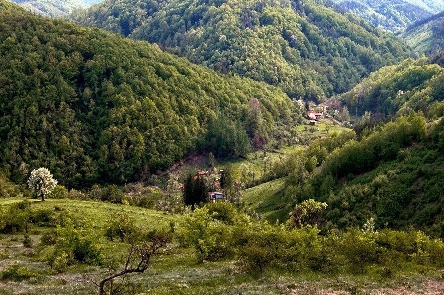 Горни край