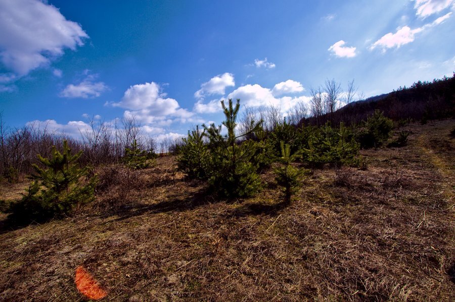 Връх Калето - Кънчево