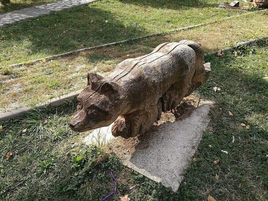 Парк "Здравец" - Берковица