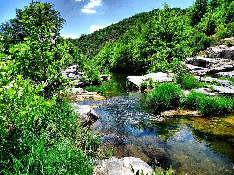 Меандрите на Бяла река