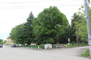 Парк - с. Иново — Иново
