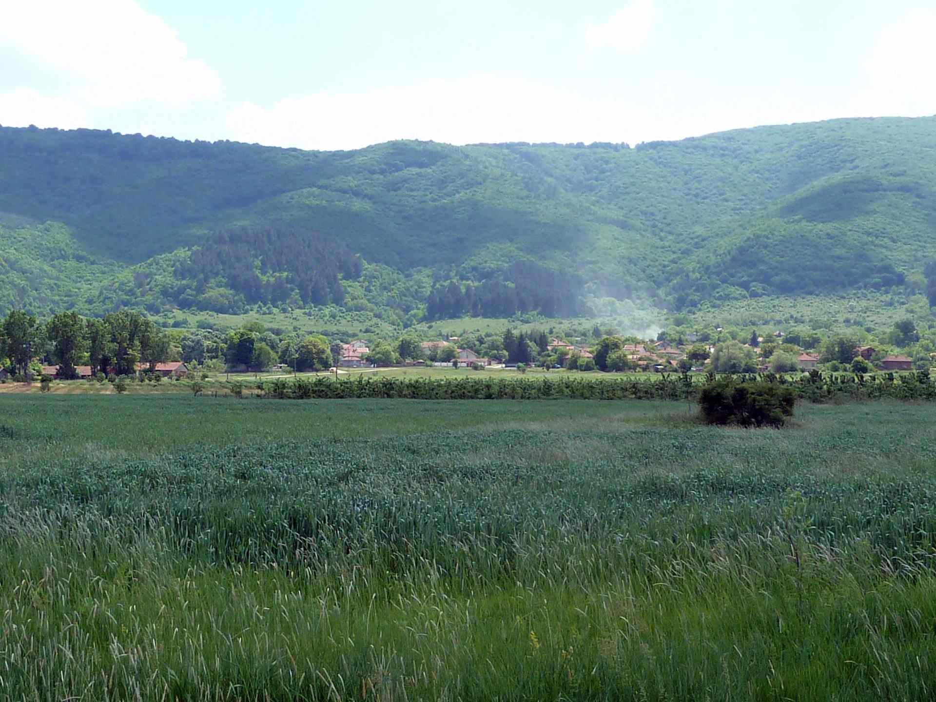 Черньово