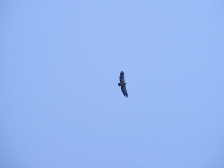 Резерват "Вълчи дол"