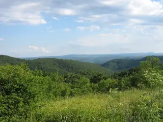 Защитена местност "Моряне" — Звездец