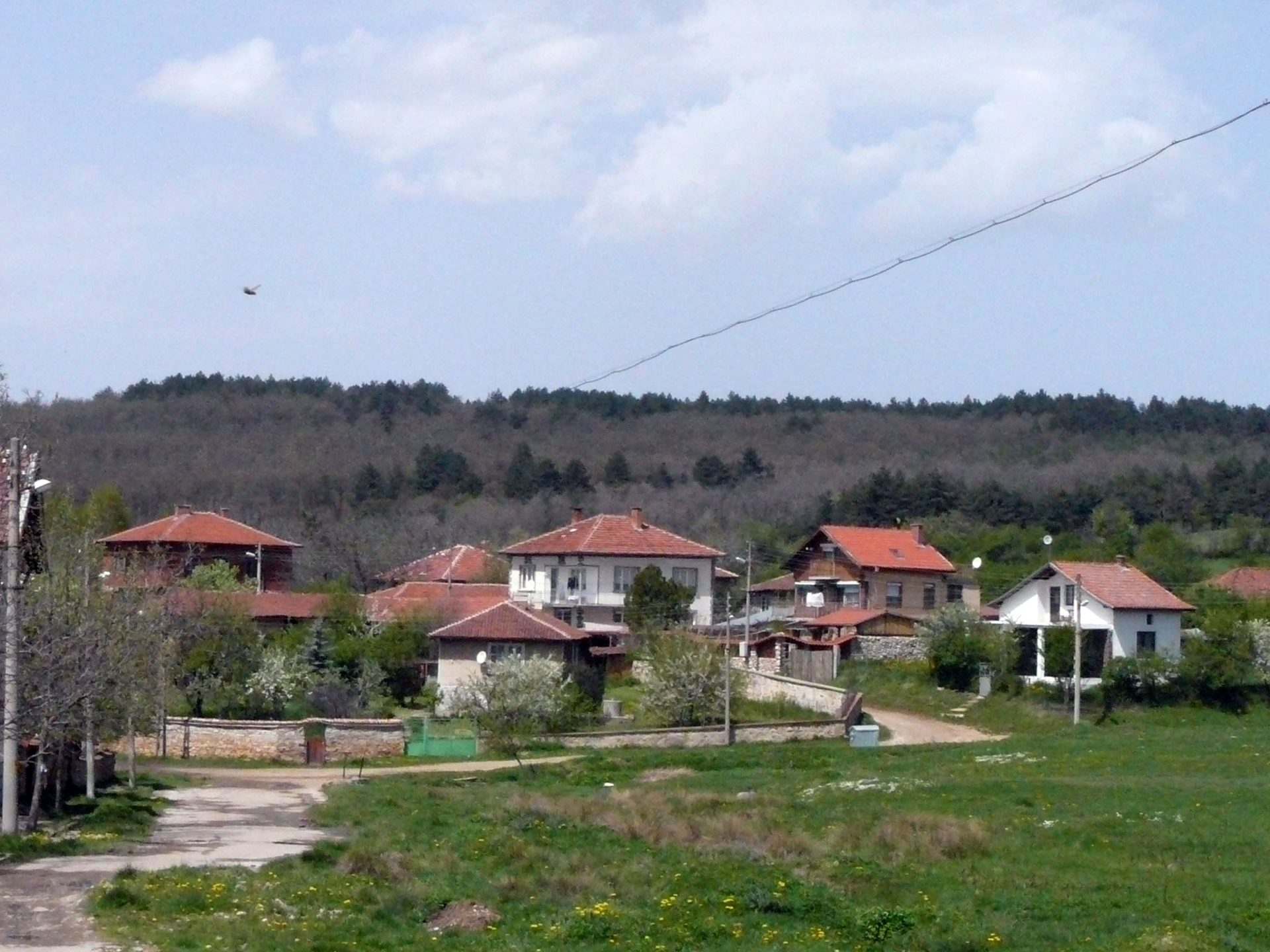 Веринско