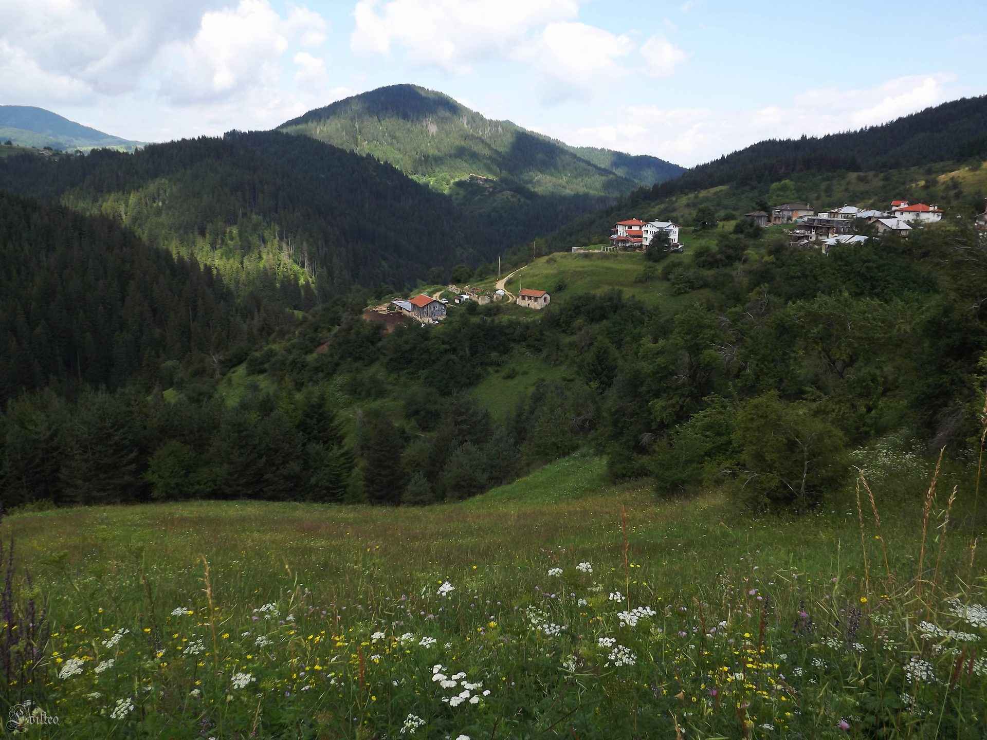 Гращица