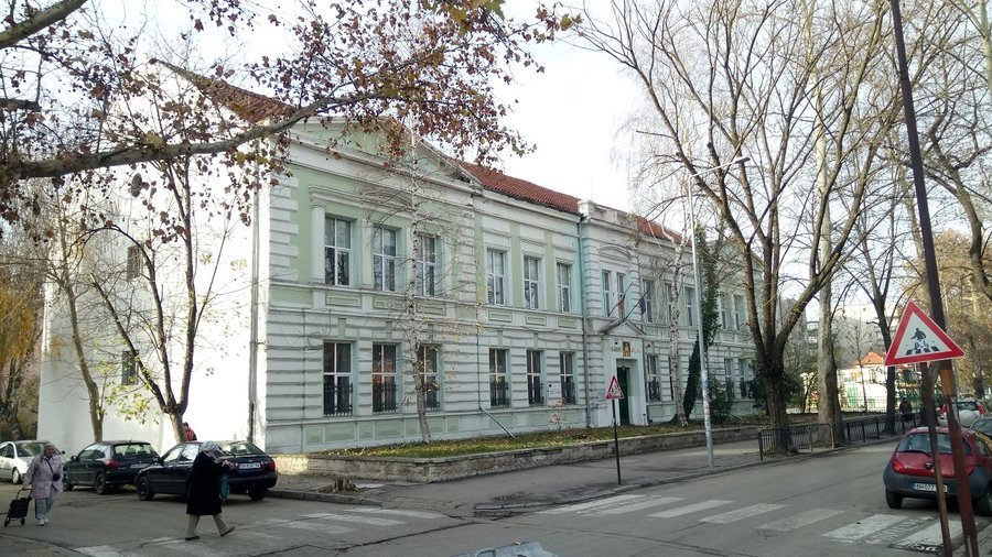 Зеленото училище - Видин