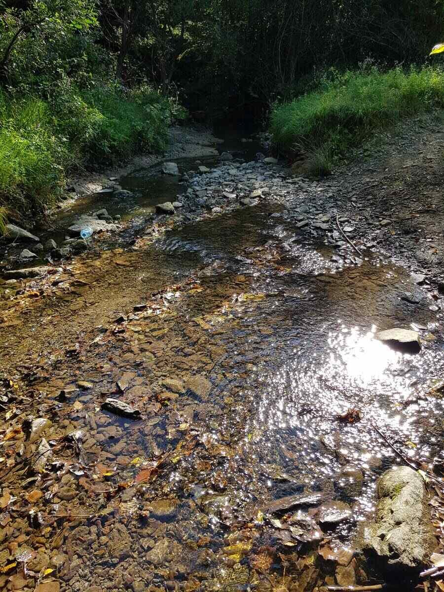 Река Негайчевица - с. Кръвеник