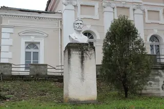 Паметник на Никола Петров - Видин — Видин