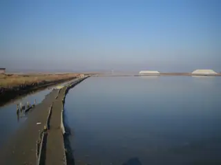 Черноморски солници — Бургас