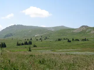 Резерват "Торфено бранище" — София