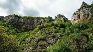 Карстов извор Житолюб - Гара Лакатник — Миланово