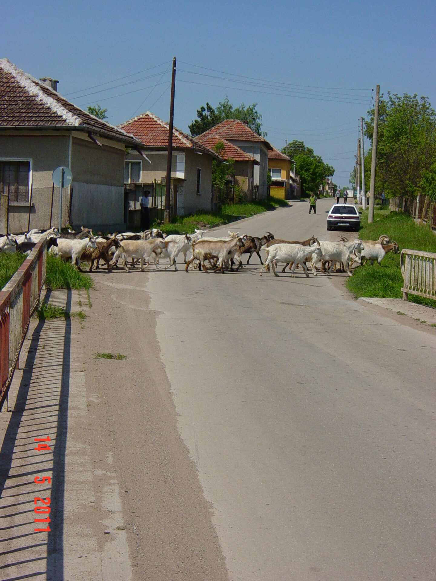 Големо Бабино