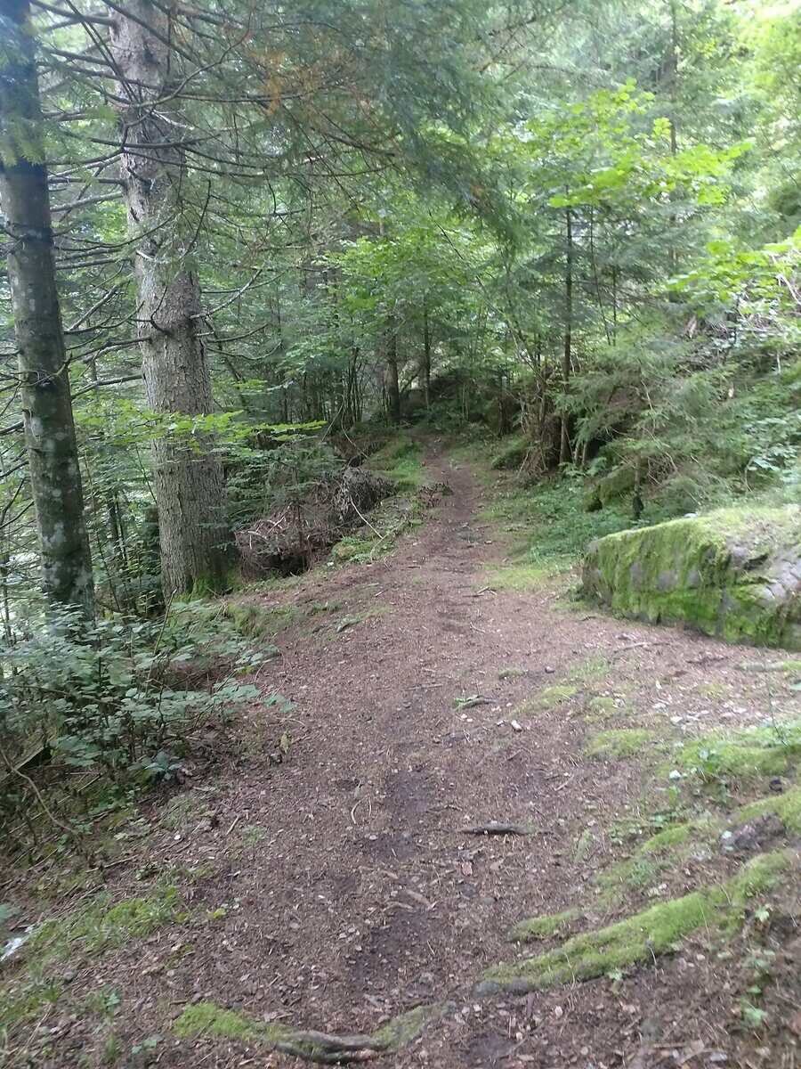Извор "Балиевата вода"