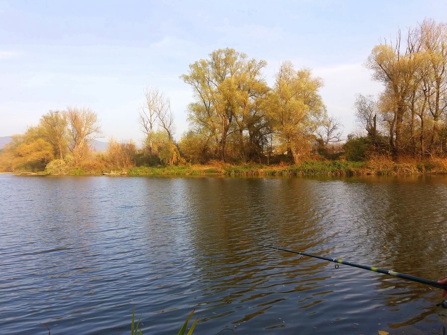 Река Росица