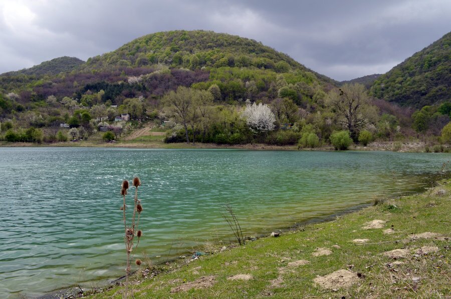 Природен резерват "Дервиша"
